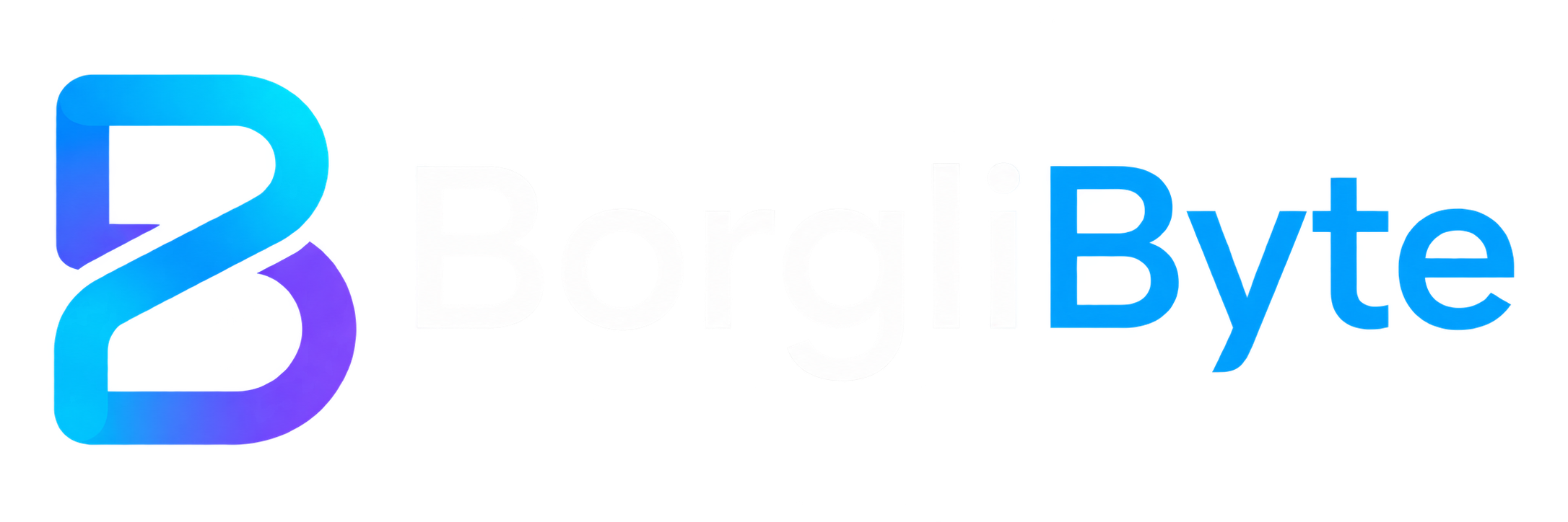 BorgliByte